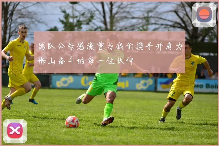 离队公告感谢曾与我们携手并肩为佛山奋斗的每一位伙伴