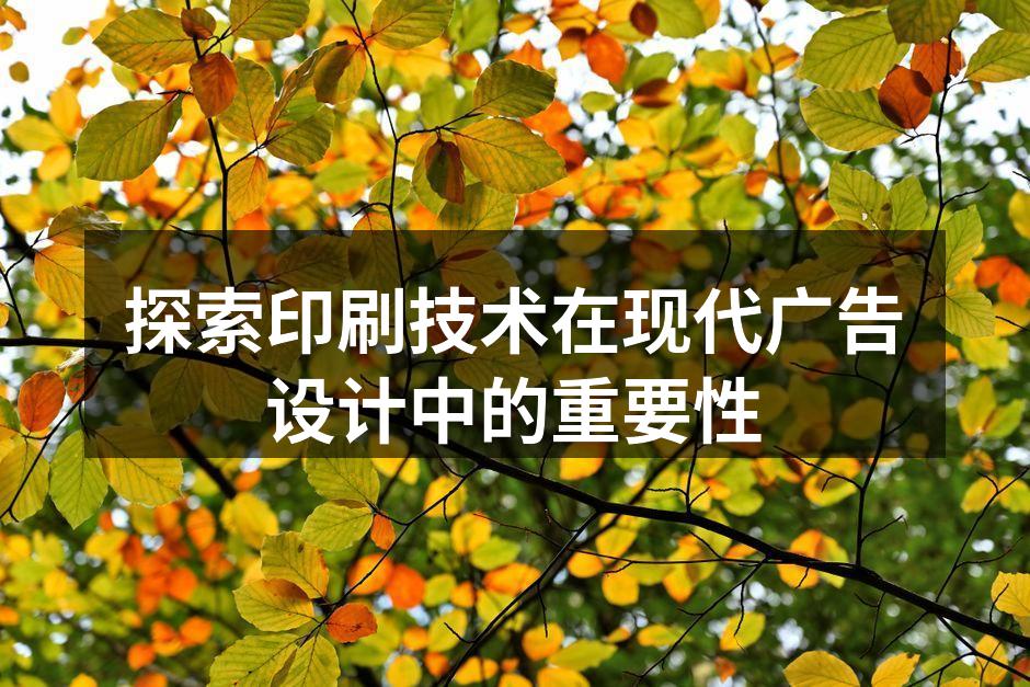 高质量印刷作品展示